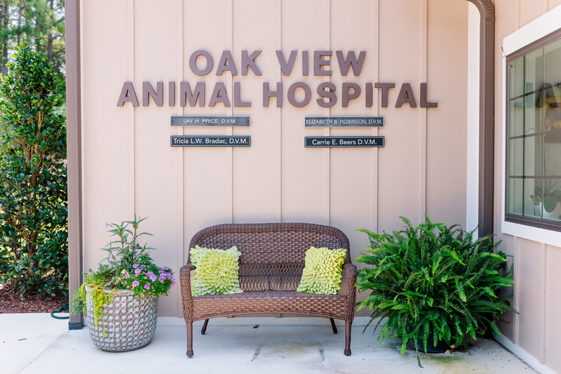 Virtual Tour of Oak View Animal Hospital in Pelham, AL