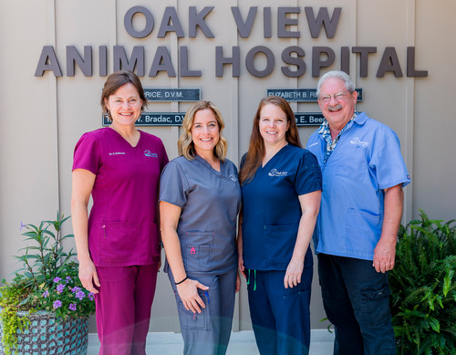 About Oak View Animal Hospital in Pelham, AL
